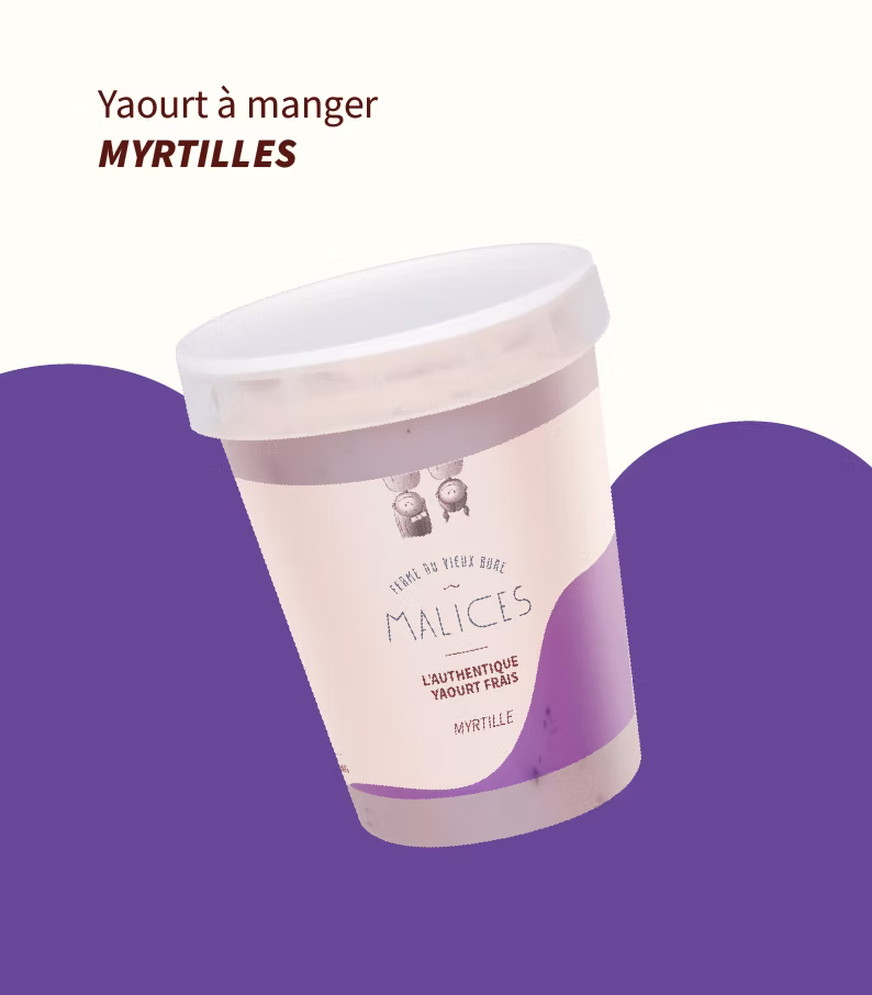Yaourts à manger MYRTILLES 180 gr