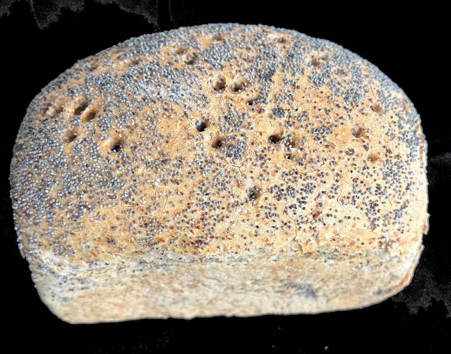 Petit pain levure graines de pavot (3) (4) 600gr