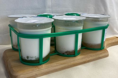 yaourts natures (vache)(6 pc)