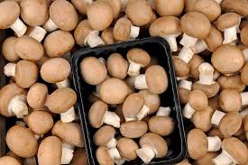 champignons de l'abbaye de Brialmont
