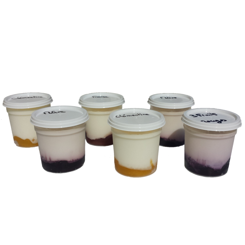 yaourt pomme-kiwi (125cc)(vache)